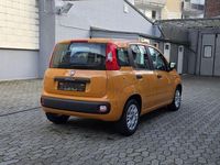 Gebraucht Fiat Panda Easy 69 PS (50 kW) 2017 Orange Kleinwagen