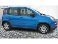 Gebraucht Fiat Panda 71 PS (52 kW) 2024 Kleinwagen
