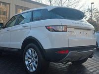 Gebraucht Land Rover Range Rover evoque 150 PS (110 kW) 2017 Weiß SUV