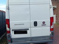 Gebraucht Fiat Ducato 148 PS (108 kW) 2016 Weiß Van