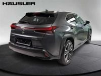 Second-hand Lexus UX 2023 Gri SUV
