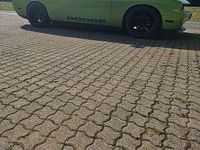 Gebraucht Dodge Challenger 309 PS (227 kW) 2013 Coupé