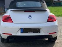 gebraucht VW Beetle New