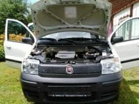 Gebraucht Fiat Panda 54 PS (39 kW) 2009 Weiß Kleinwagen