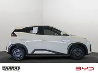 Ny BYD Dolphin Surf Active 64 kW (88 HK) 2026 Hvid Hatchback