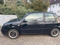 Gebraucht VW Lupo 75 PS (55 kW) 2000 Schwarz Kleinwagen