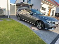 Gebraucht Mercedes E220 170 PS (125 kW) 2015 Grau Kombi