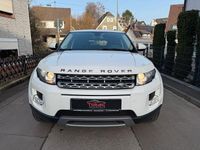 Gebraucht Land Rover Range Rover evoque Pure 150 PS (110 kW) 2014 Weiß SUV