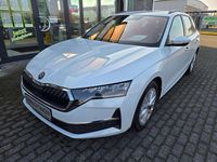 Gebraucht Skoda Octavia Selection 150 PS (110 kW) 2024 Moonweiss perleffekt (metallic) Kombi