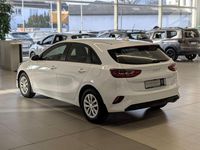Neu Kia Ceed Vision 140 PS (102 kW) 2025 Weiß Kleinwagen