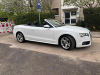 Gebraucht Audi S5 Cabriolet 333 PS (244 kW) 2011 Weiß Cabrio