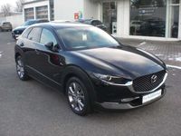 gebraucht Mazda CX-30 Selection AWD* I-ACS* Design Paket* 18"