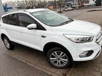 Gebraucht Ford Kuga 120 PS (88 kW) 2019 Weiß SUV