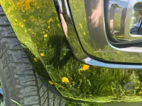 Gebraucht Ford Ranger 213 PS (156 kW) 2020 Schwarz Pickup