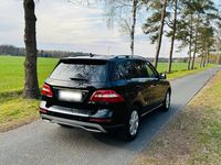Gebraucht Mercedes ML250 204 PS (150 kW) 2011 Schwarz SUV