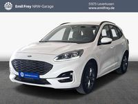 Gebraucht Ford Kuga ST-Line 150 PS (110 kW) 2023 White platinum metallic SUV