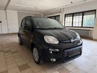 Gebraucht Fiat Panda Cross Cross 69 PS (50 kW) 2024 Schwarz Kleinwagen