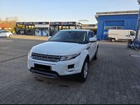 Gebraucht Land Rover Range Rover evoque Dynamic 140 PS (102 kW) 2013 Weiß SUV
