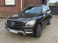 Gebraucht Mercedes ML350 260 PS (191 kW) 2014 Braun SUV