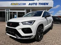 Neu Cupra Ateca 150 PS (110 kW) 2026 Weiß SUV