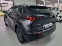 gebraucht Mazda CX-30 Selection,Automat,Bose,360,Mild-Hybrid