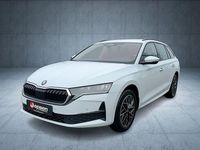 Neu Skoda Octavia 150 PS (110 kW) 2026 Moonweiß perleffekt Kombi