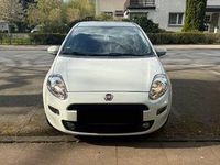Gebraucht Fiat Punto 69 PS (50 kW) 2016 Weiß Kleinwagen