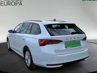 Usado Skoda Octavia Selection 150 CV (110 kW) 2025 Blanco Familiar