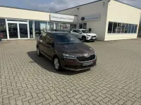 Gebraucht Skoda Fabia Ambition 110 PS (80 kW) 2019 Braun Kleinwagen