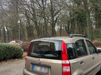 Occasion Fiat Panda 60 ch (44 kW) 2010 Doré Citadine