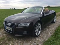 Gebraucht Audi A5 Cabriolet Ambiente 211 PS (155 kW) 2009 Braun Cabrio