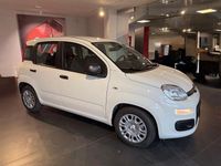 Gebraucht Fiat Panda Icon 65 PS (47 kW) 2026 Weiß Kleinwagen