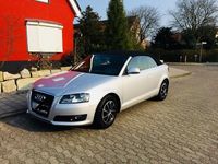 Gebraucht Audi A3 Cabriolet 160 PS (117 kW) 2008 Silber Cabrio