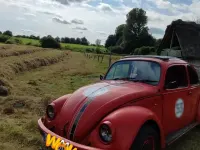 Gebraucht VW Käfer 46 PS (33 kW) 1995 Rot Kleinwagen