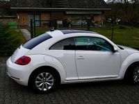 Gebraucht VW Beetle Design 105 PS (77 kW) 2013 Weiß Kleinwagen