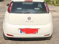 gebraucht Fiat Punto More