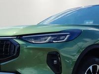 Gebraucht Ford Kuga Active X 182 PS (133 kW) 2024 Bursting green SUV