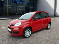 Neu Fiat Panda Icon 65 PS (47 kW) 2026 Rot Kleinwagen