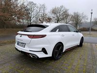 Gebraucht Kia ProCeed GT 204 PS (150 kW) 2020 Weiß Coupé