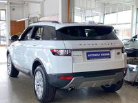 Gebraucht Land Rover Range Rover evoque SE 150 PS (110 kW) 2017 Weiß SUV