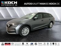 Neu Skoda Octavia Selection 150 PS (110 kW) 2025 Grau Kombi