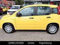 Neu Fiat Panda 69 PS (50 kW) 2025 Gelb Kleinwagen