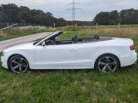 Gebraucht Audi S5 Cabriolet Design 333 PS (244 kW) 2011 Weiß Cabrio
