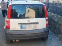 Gebraucht Fiat Panda 54 PS (39 kW) 2009 Kleinwagen