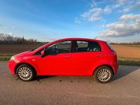 gebraucht Fiat Punto 