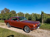 gebraucht Ford Mustang 