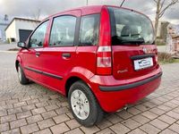 gebraucht Fiat Panda 1.2 8V Dynamic