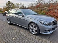 Gebraucht Mercedes E500 Elegance 408 PS (300 kW) 2014 Silber Kombi