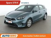 Usado Kia Ceed Edition 7 101 CV (74 kW) 2023 Gris Utilitario