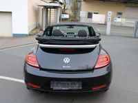 gebraucht VW Beetle Cabriolet R-Line BMT/Start-Stopp Navi Car